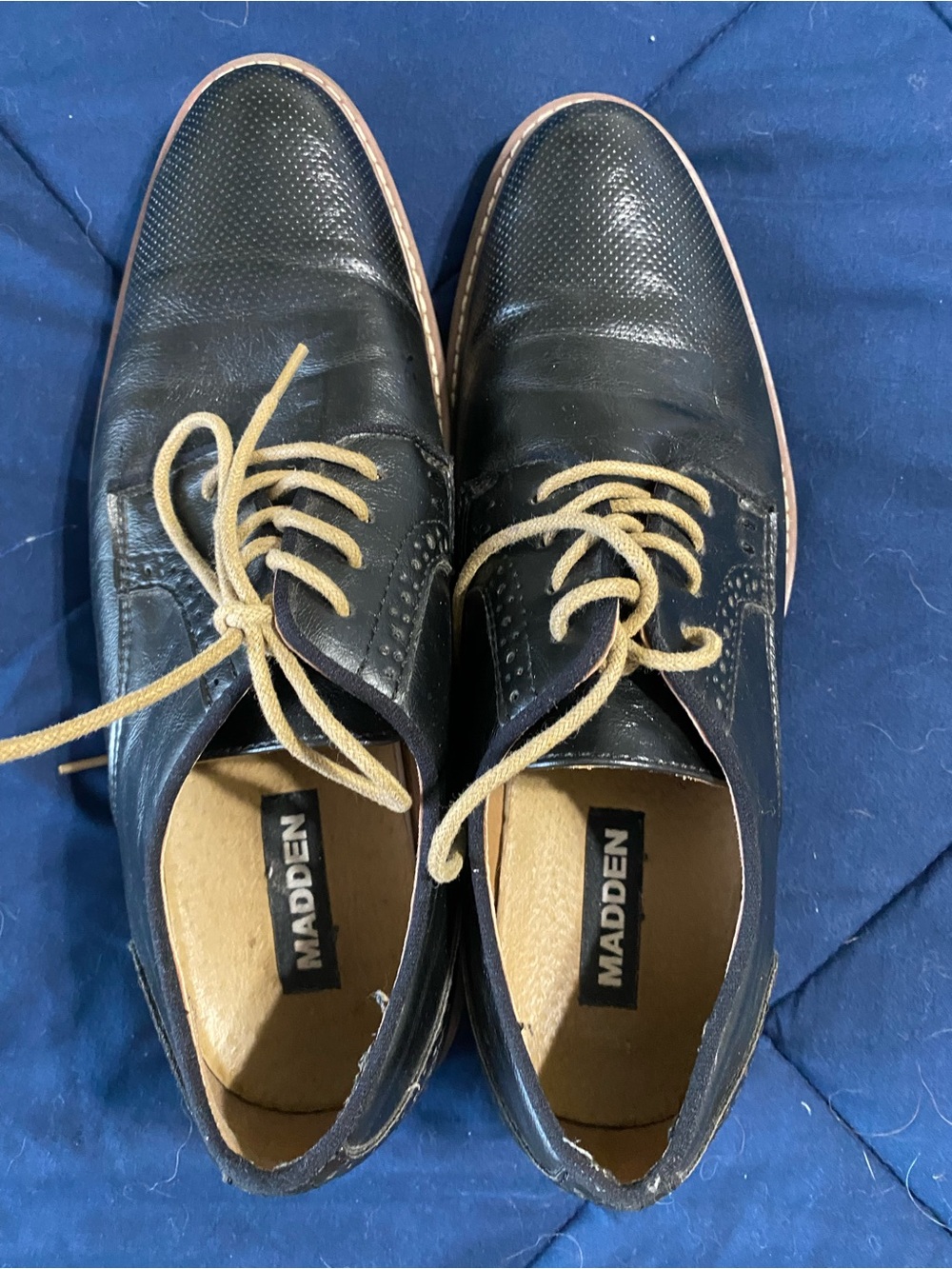 Steve Madden Black Leather Oxford Shoes with Tan Laces